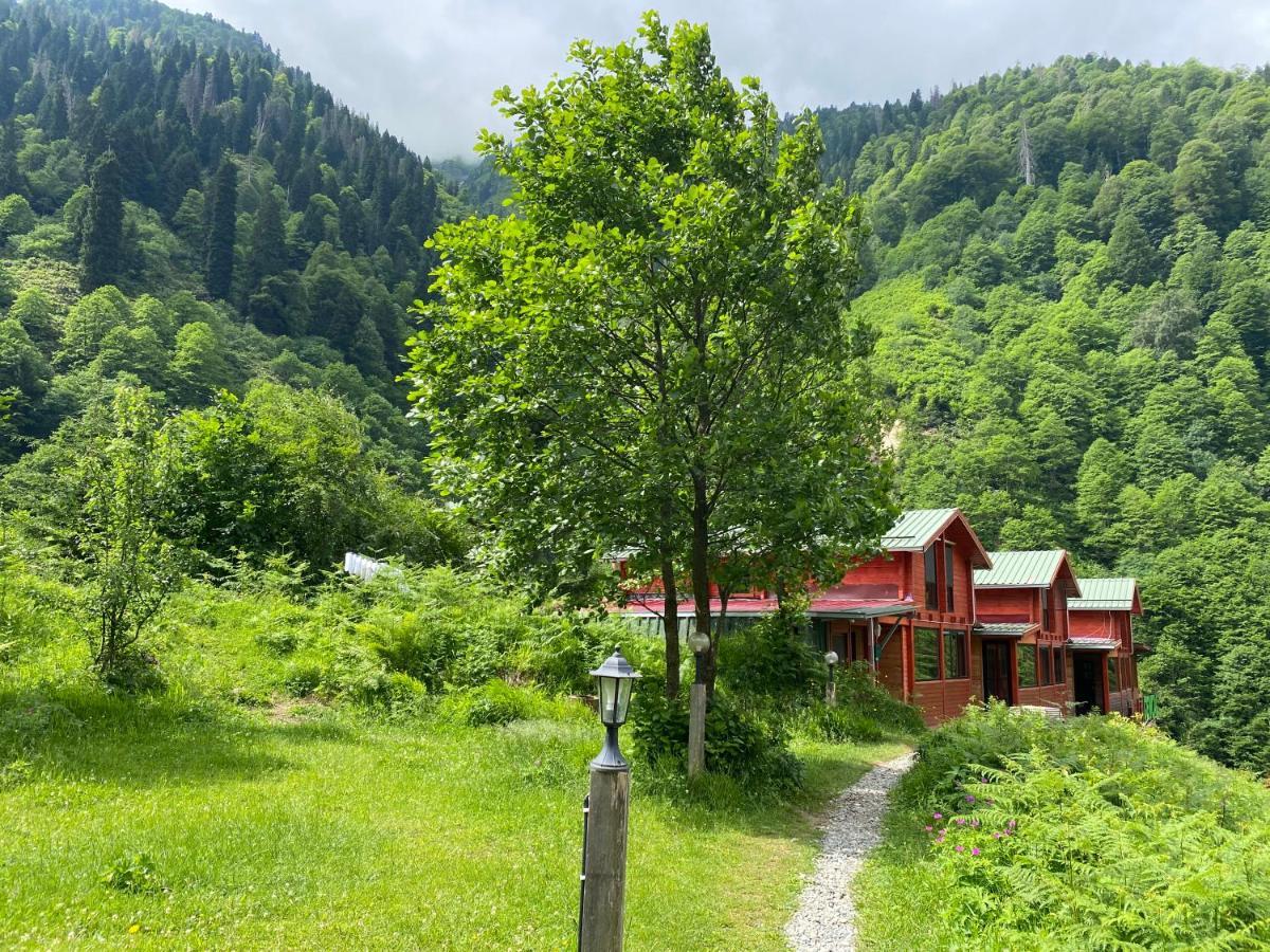 Ayder Villa Gencal Extérieur photo