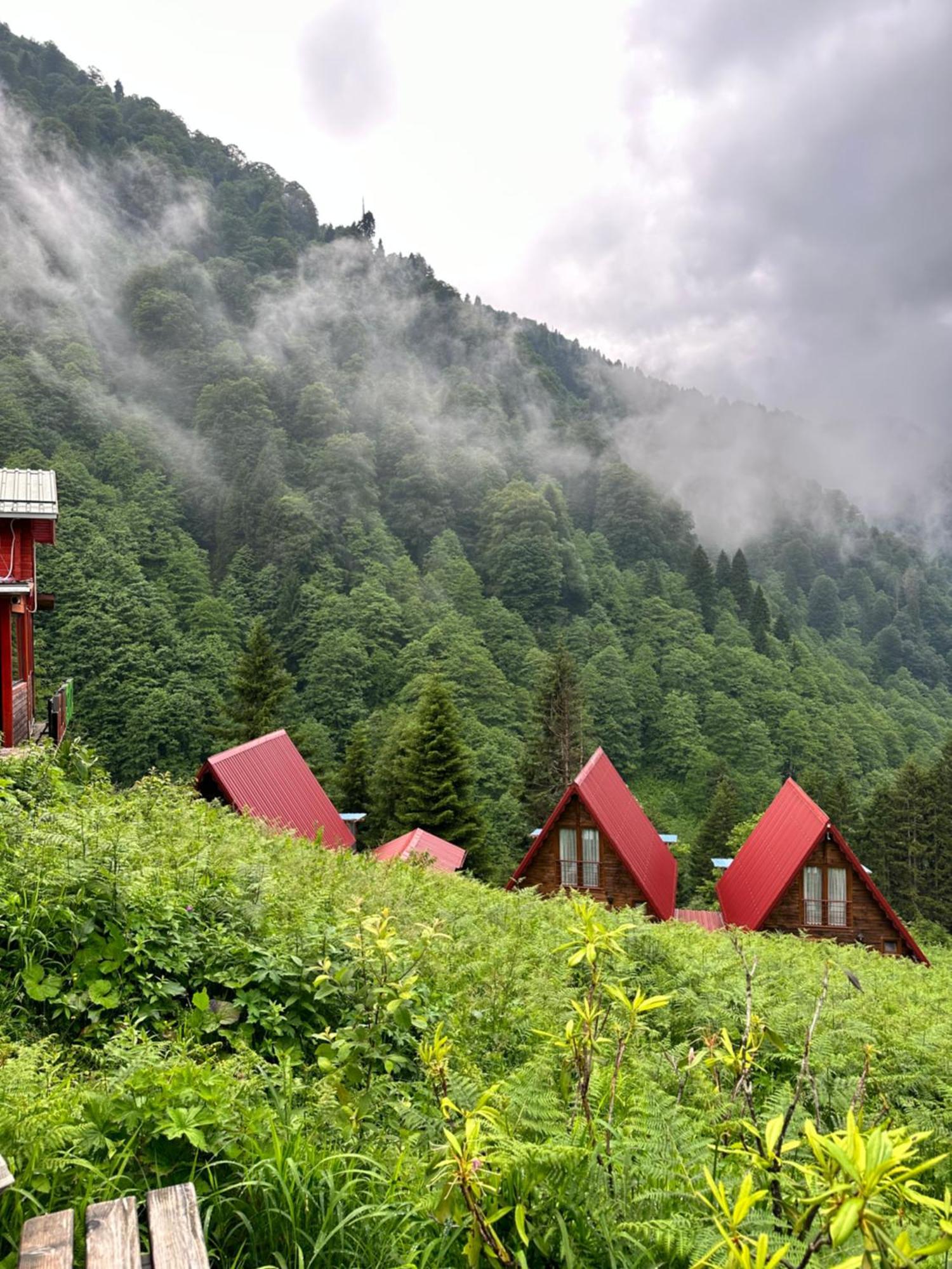 Ayder Villa Gencal Extérieur photo