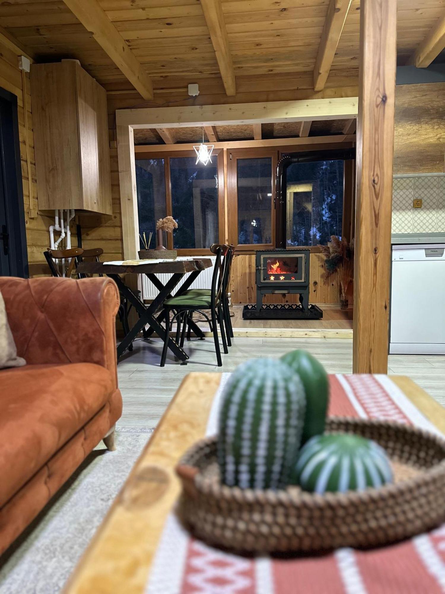 Ayder Villa Gencal Extérieur photo